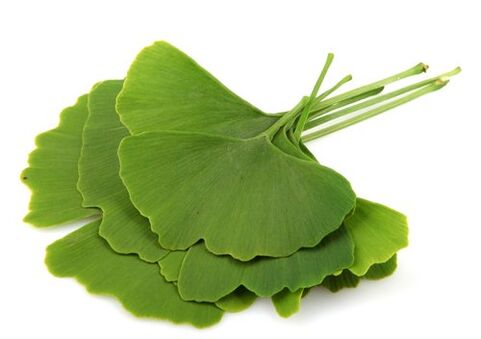 Varicone contén Gingko Biloba